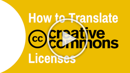 How-to-translate-licenses.png
